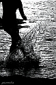 Giochi d_acqua in controluce - (IMG_2052_2 BN virtual photographer)